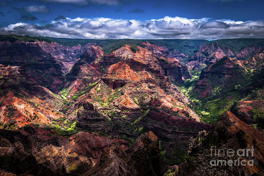 Waimea Canyon on Kauai Photograph by Blake Webster