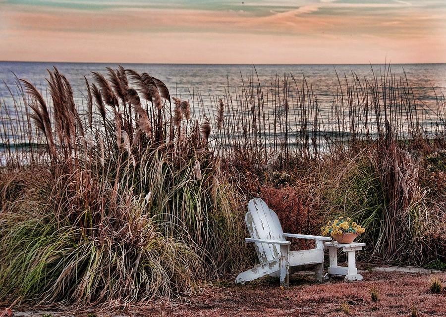 Waiting for Spring Photograph by Marshall Hurley