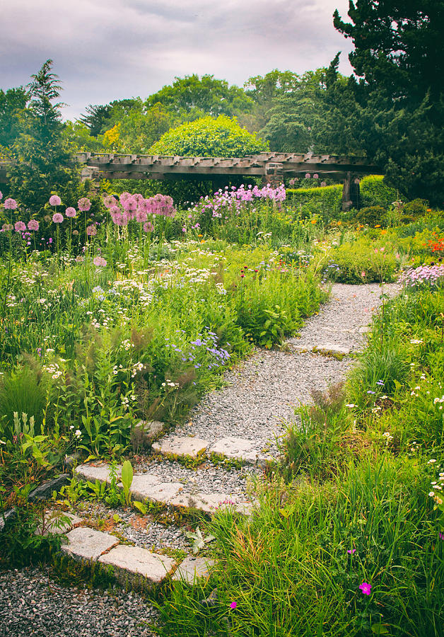 Walk Among the Wildflowers Photograph by Jessica Jenney
