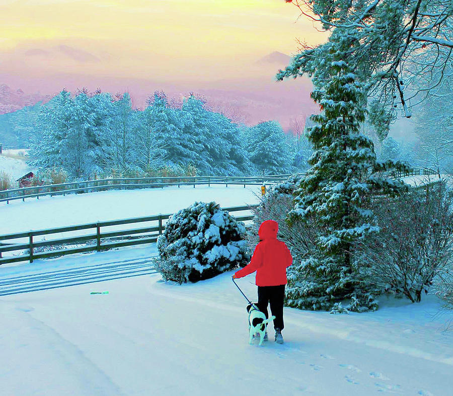 Walking The Dog Photograph by Rod Whyte