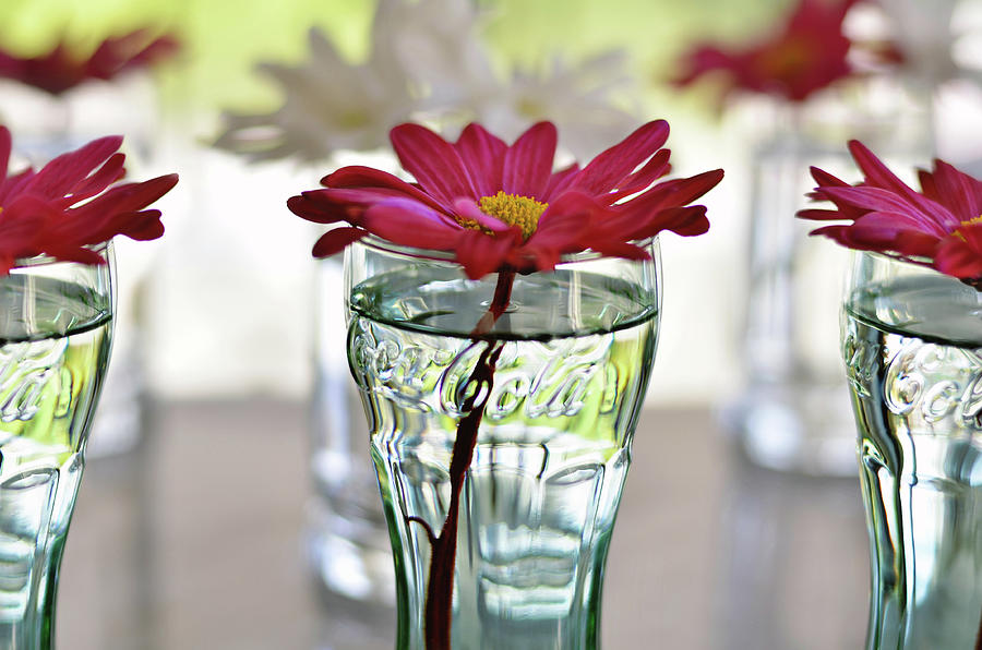 Flowers in Coca-Cola Glasses Photograph - Water Lovers by Laura Fasulo