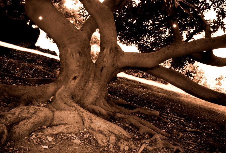 We Would -- Screaming Trees Digital Art by Steven Robiner