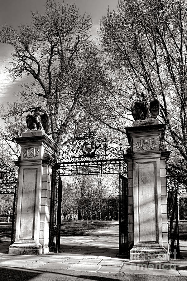 Intricate Iron Gate Entrance Photograph - Welcome to Princeton University by Olivier Le Queinec