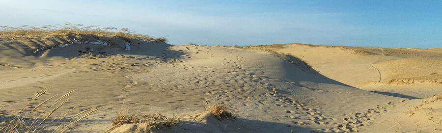 Wellfleet Dunes III Photograph by Steven David Roberts