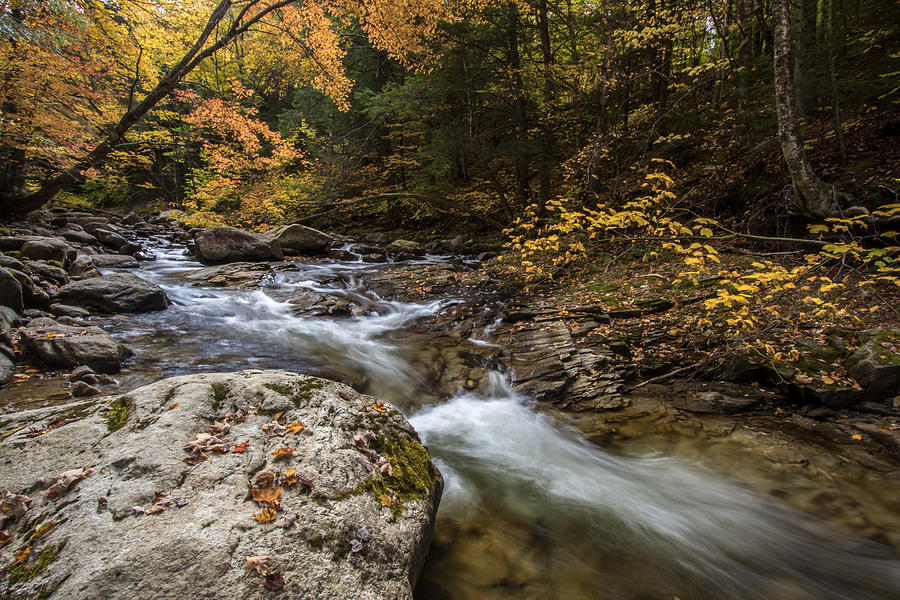 Wheelerville Photograph by Todd Wilkinson