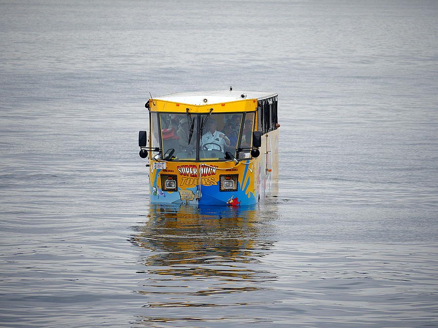 Where is the Bus Stop Photograph by Richard Reeve