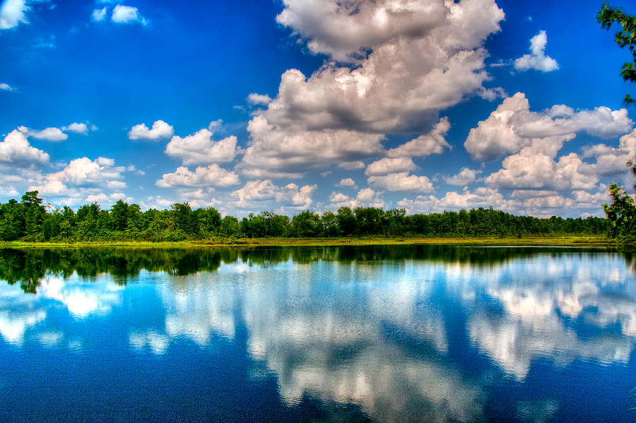 Whitesbog New Jersey Photograph by Louis Dallara