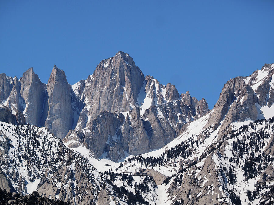 Majestic Snow-Capped Mountains Photograph - Mt. Whitney from Lone Pine campground by Joe Schofield