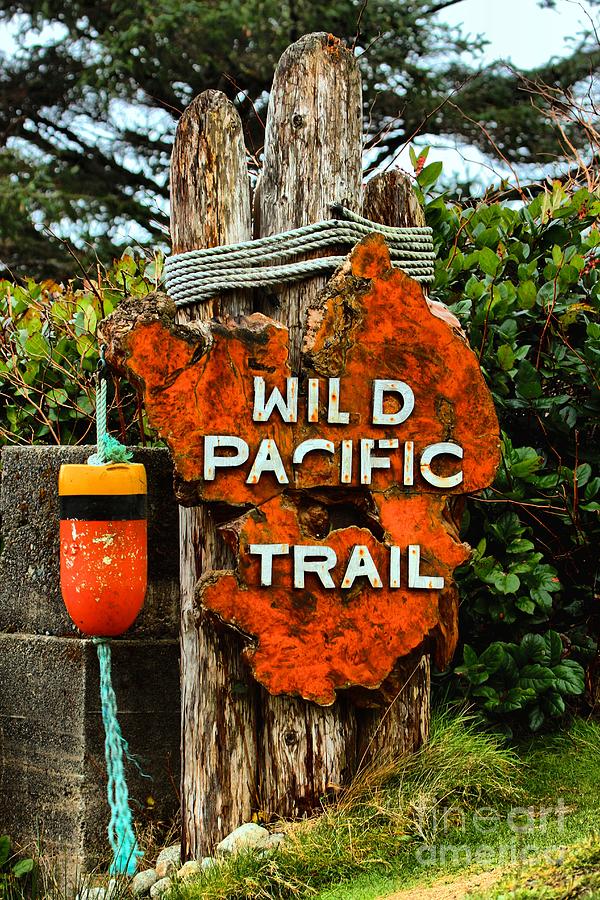 Wild Pacific Trail Sign Photograph - Wild Pacific Trail Sign by Adam Jewell