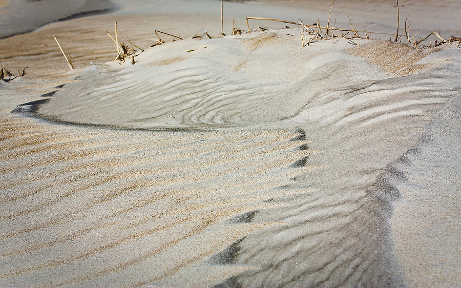 Wind Art Photograph by Joni Eskridge