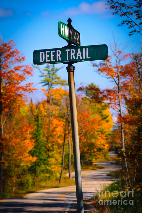 Winding Crossroads Photograph by Duluth To Door County Photography