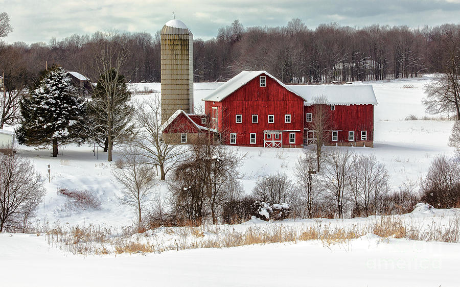 Winter on a Farm by Rod Best