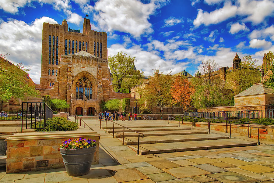 Yale University Library Campus View Photograph - Yale University Sterling Library II by Susan Candelario