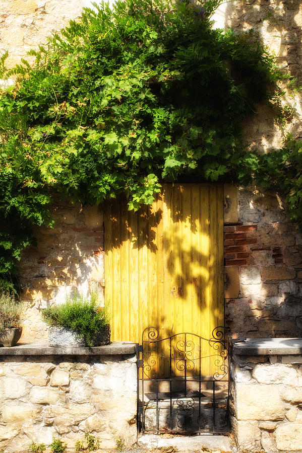 Charming Rustic Doorway Photograph - Yellow Shadowed Door with Vines by Georgia Clare