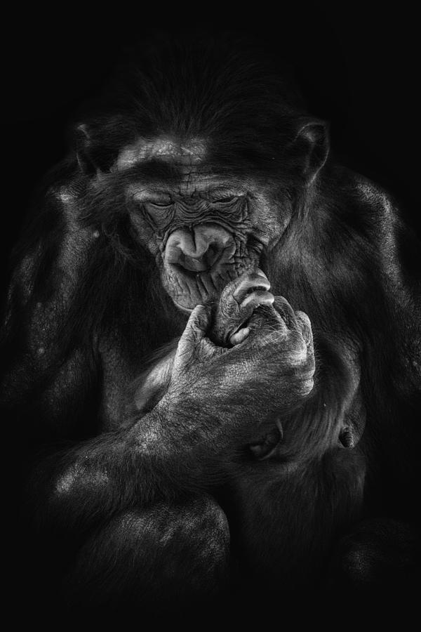 Your Hand in Mine Photograph by Ghostwinds Photography