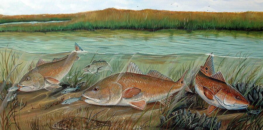Back Country Bulls #2 Painting by Mark Ray
