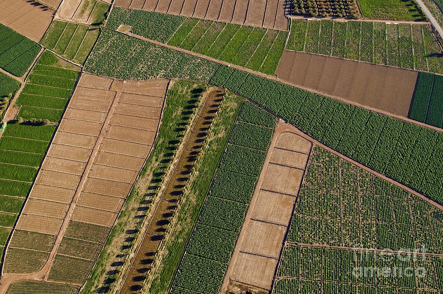 Some Field Fields #1 by Chris Sattlberger / Science Photo Library