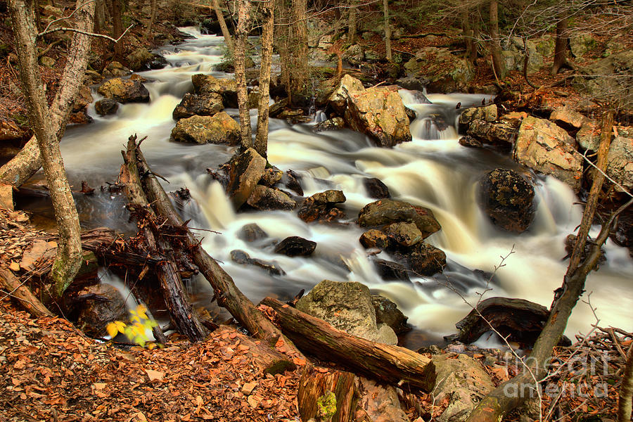 Ganoga Glen Streams Photograph by Adam Jewell