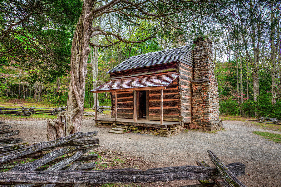 John Oliver Cabin #1 Photograph by Lloyd Gillies