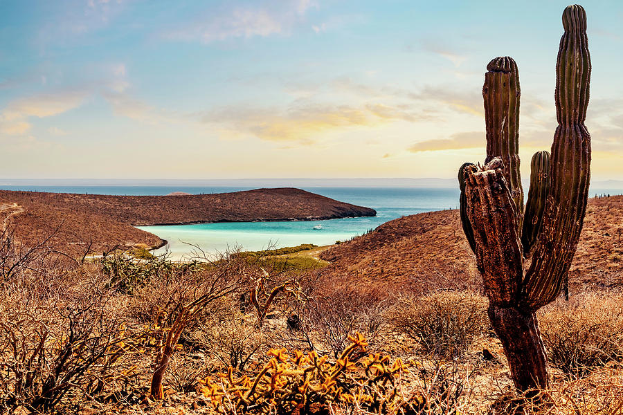 Mexico, La Paz, Baja California Ensenada Del Shiro #1 Digital Art by Claudia Uripos