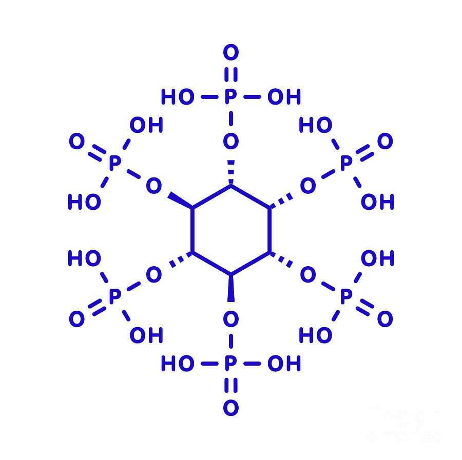 Phytic Acid Chemical Structure #1 by Molekuul / Science Photo Library