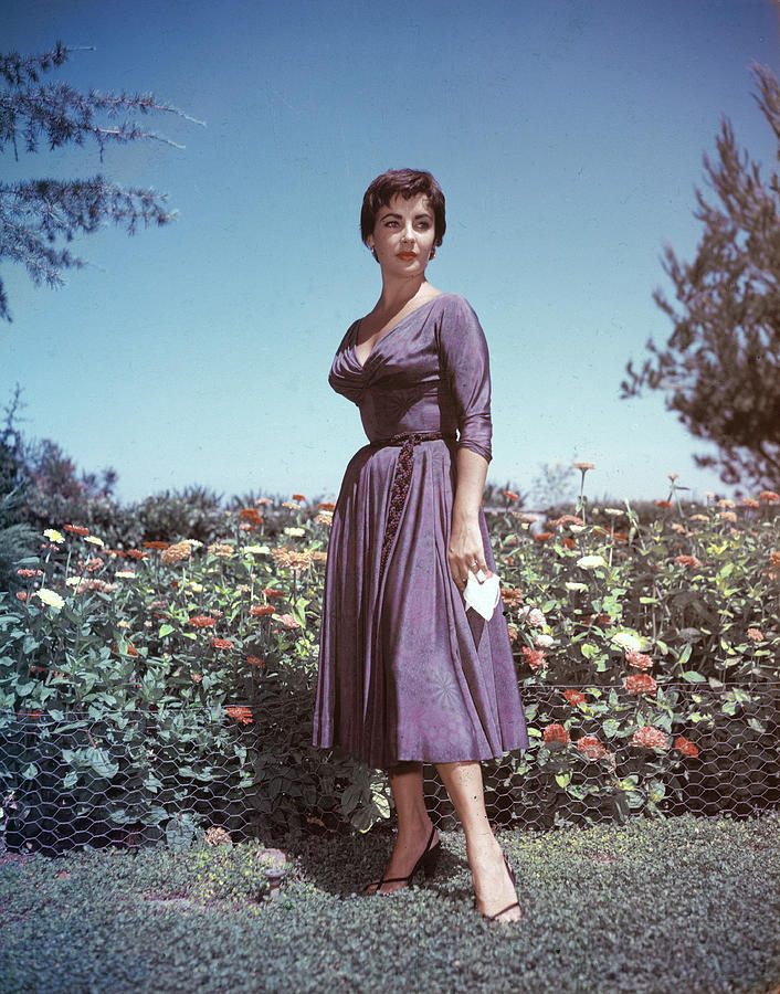 Portrait Of Elizabeth Taylor #1 by Hulton Archive