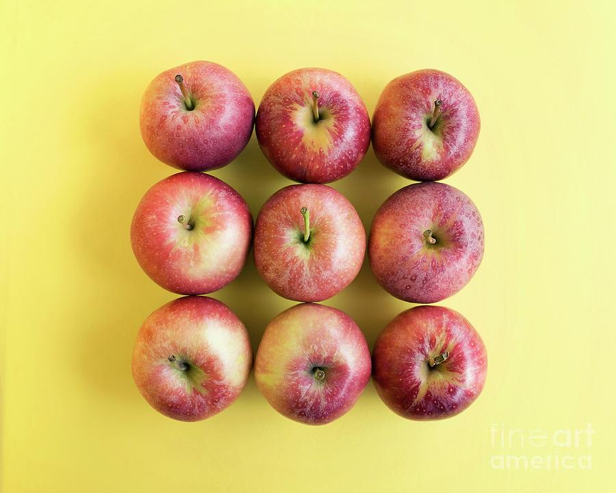 Red Apples #1 by Ian Hooton / Science Photo Library