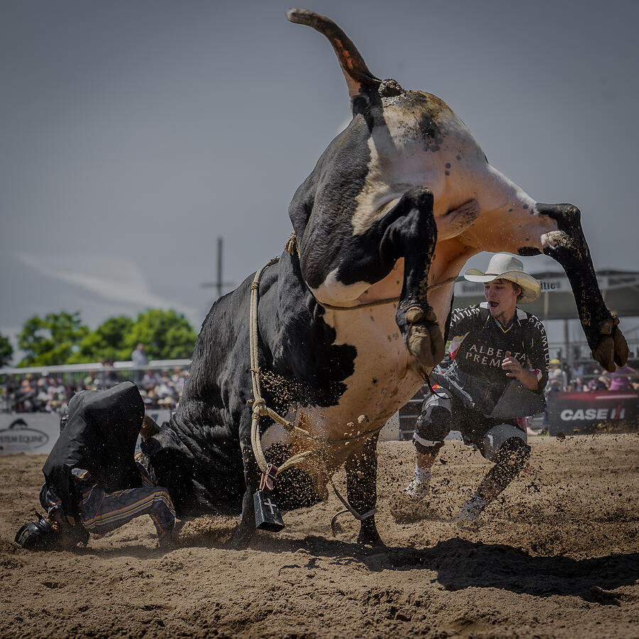 Photographing Rodeos Rodeo #1 by Davidhx Chen