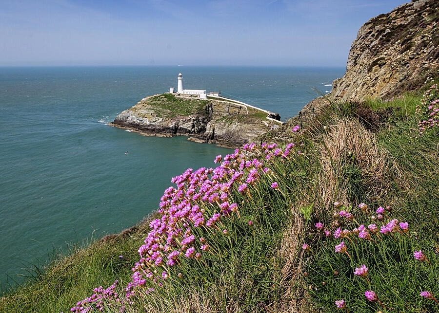 South Stack lighthouse Anglesey 1 Photograph by Shirley Mitchell