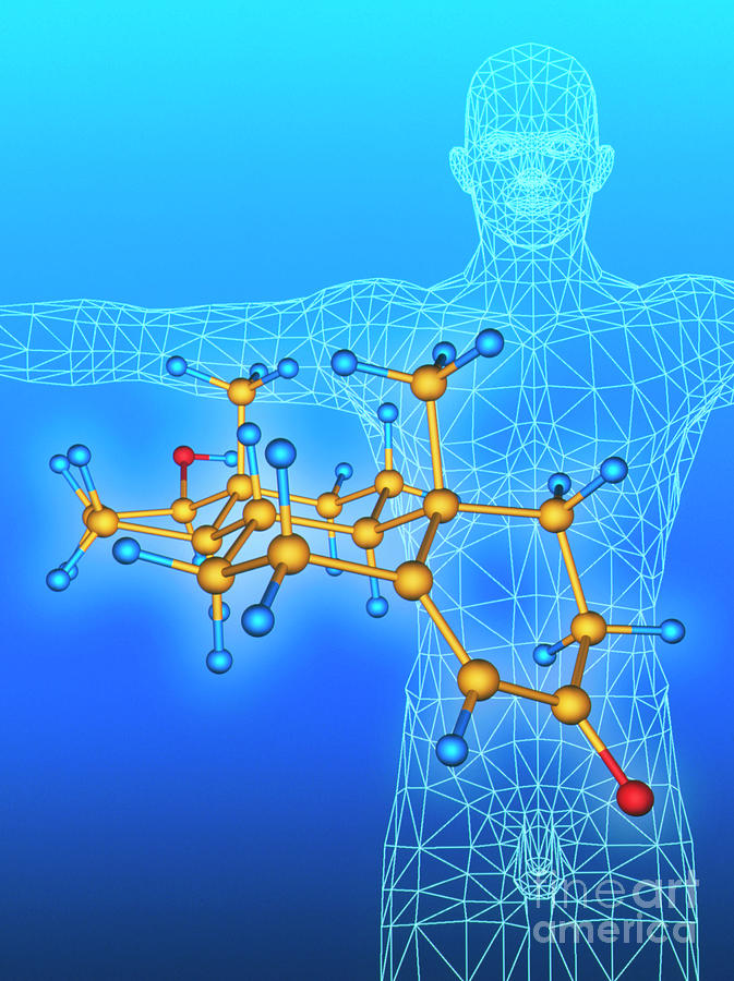 Testosterone #1 by Alfred Pasieka / Science Photo Library
