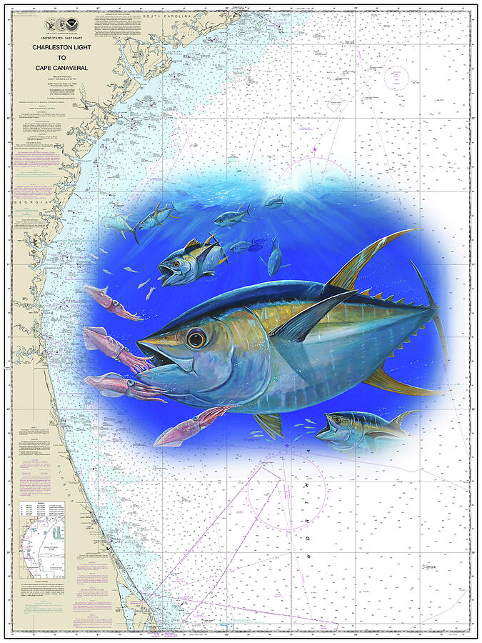 Tuna and Squids Chart Painting by Mark Ray