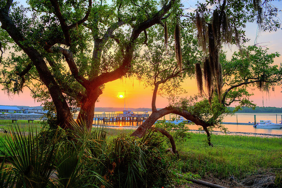 Usa, South Carolina, Hilton Head #1 Digital Art by Werner Bertsch