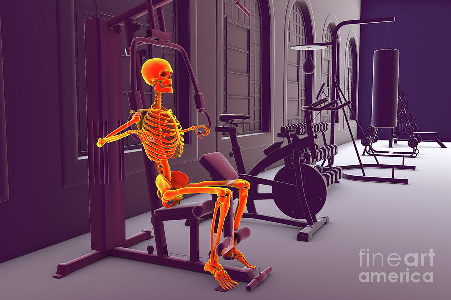Skeleton Running Machine Skeleton Training On A Hammer Strength Machine #12 by Kateryna Kon ...