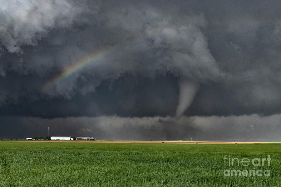 Tornado #12 by Roger Hill / Science Photo Library
