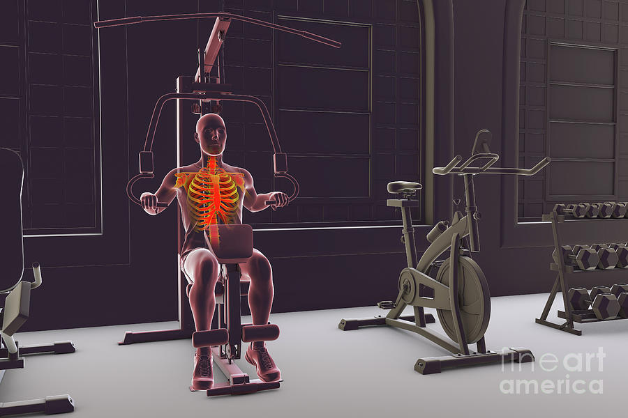 Skeleton Running Machine Skeleton Training On A Hammer Strength Machine #14 by Kateryna Kon ...