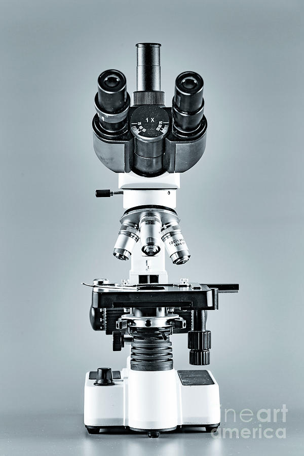 Light Microscope Inagr Light Microscope #15 by Wladimir Bulgar / Science Photo Library