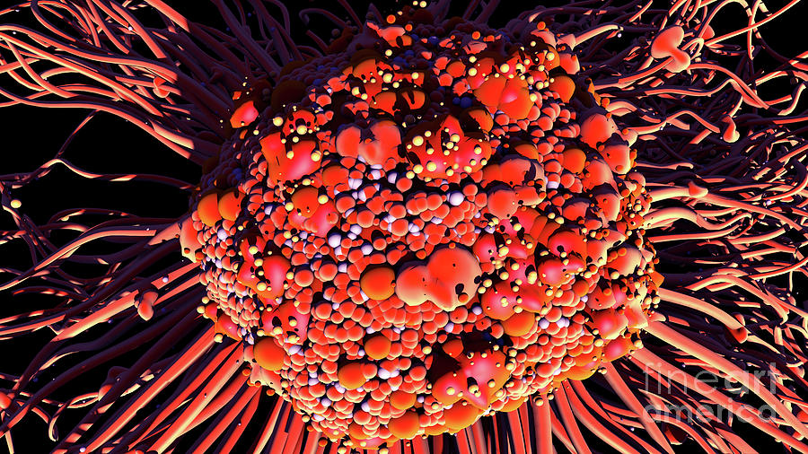 Cancer Cell #2 by Design Cells / Science Photo Library