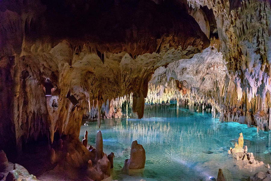 Cayman Crystal Caves & Nature Forest #2 Digital Art by Angela Pagano