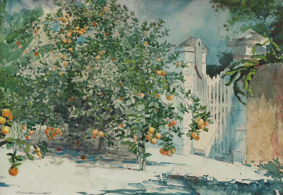 Orange Trees Near a White Gate Painting - Orange Trees And Gate by Winslow Homer