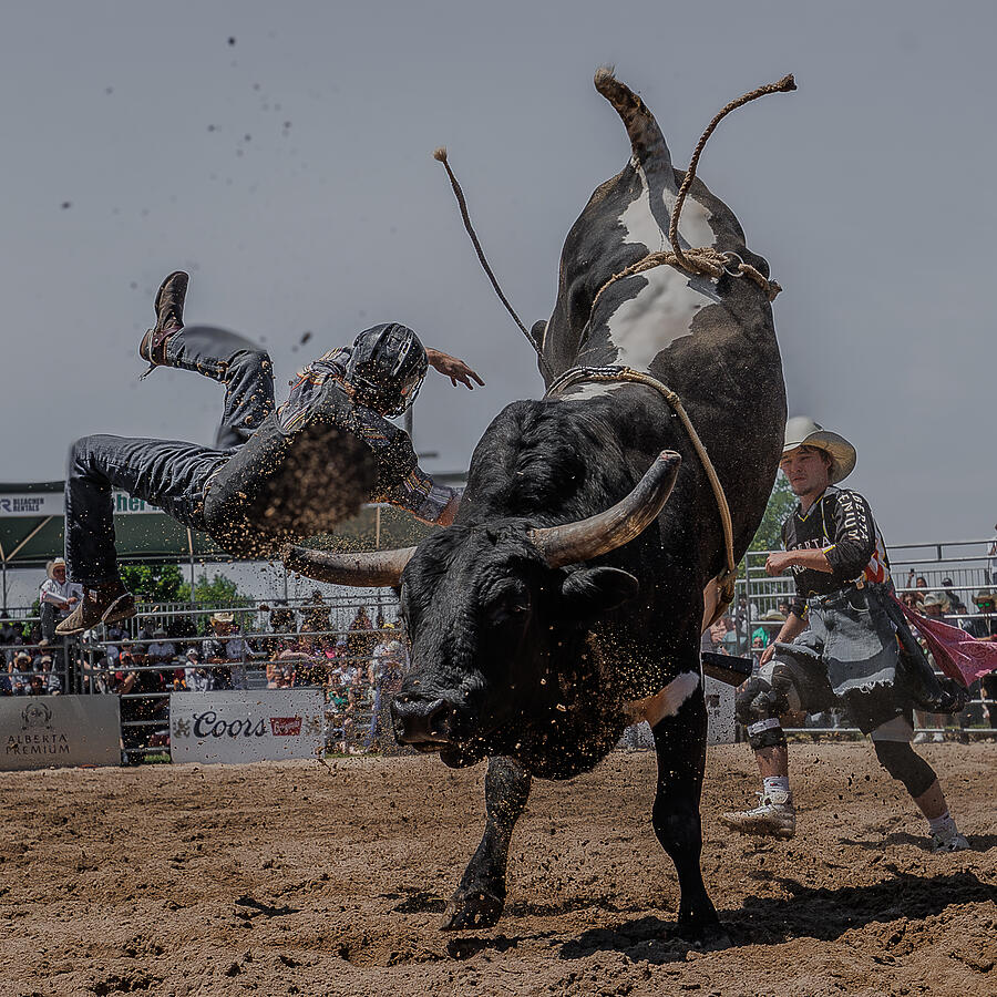 Photographing Rodeos Rodeo #2 by Davidhx Chen