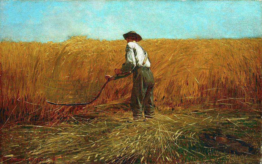 The Veteran In A New Field Painting - The Veteran In A New Field by Winslow Homer