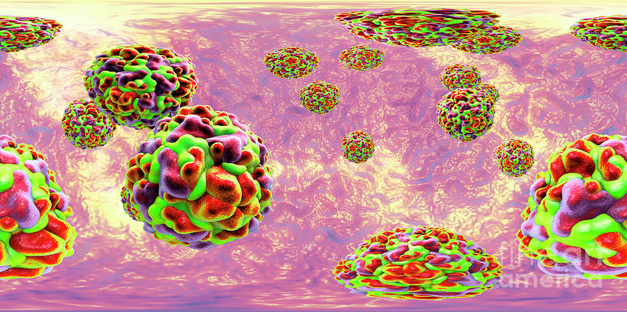 Rhinoviruses #3 by Kateryna Kon / Science Photo Library