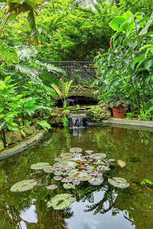 Sunken Gardens, St Petersburg, Fl #3 Digital Art by Lumiere