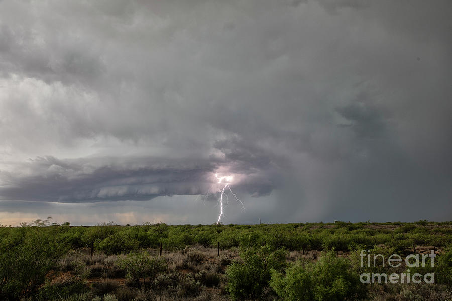 Lightning #4 by Roger Hill / Science Photo Library