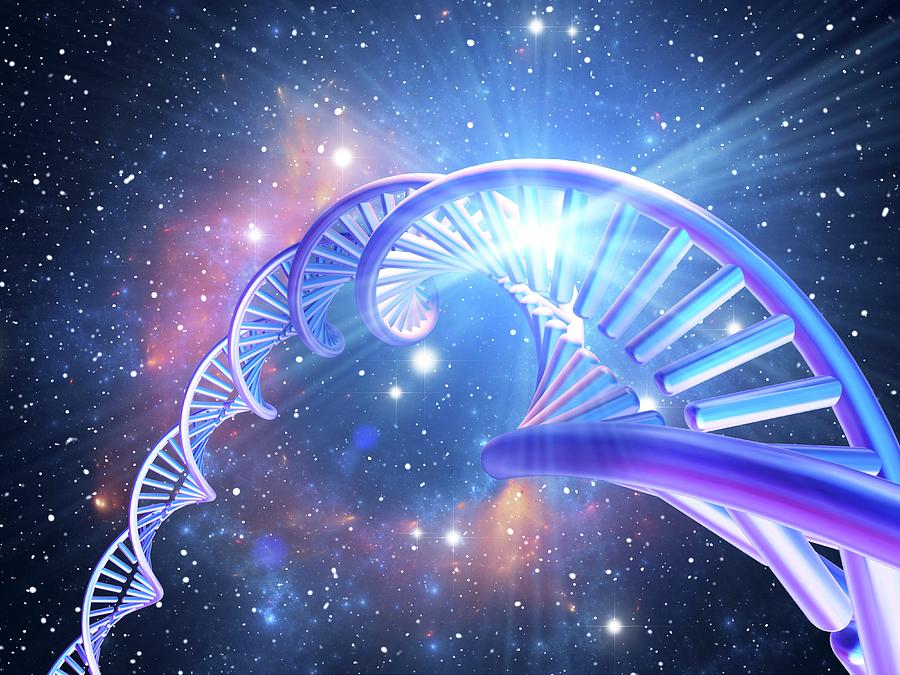 Dna Molecule, Computer Artwork #42 Digital Art by Pasieka - Metal