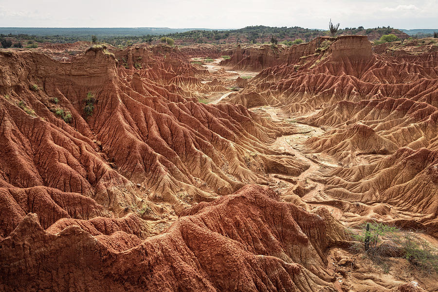 Surreal Landscape At Tatacoa Desert desierto De La Tatacoa, Township Villavieja Nearby Neiva, Departmento Huila, Colombia, Southamerica #5 Photograph by G�nther Bayerl