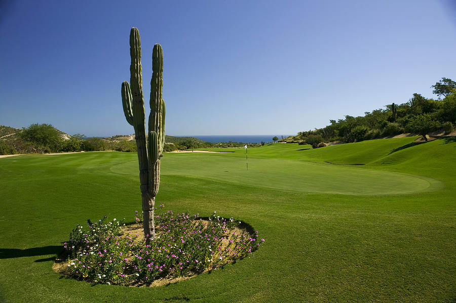 Golf Course, Los Cabos, Mexico #6 Digital Art by Hp Huber