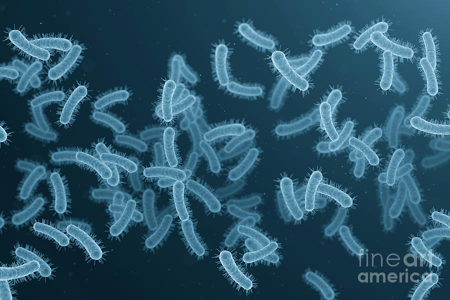 Science Photo Library Bacterias Bacteria #8 by Jesper Klausen / Science Photo Library