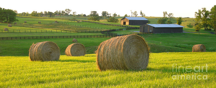 Dusk In The Bluegrass Photograph by Randall Dill