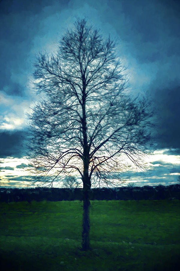 A Lone Tree in Winter Digital Art by Jason Fink